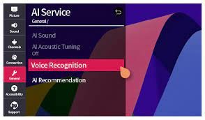 LG TV voice not Recognizing