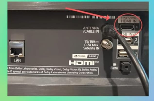 HDMI Port of TCL TV