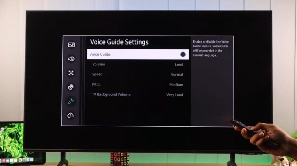 voice guide on samsung tv