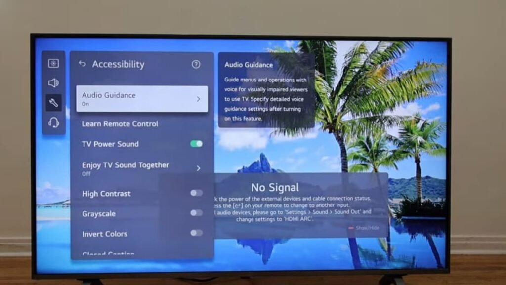 voice guide on LG TV